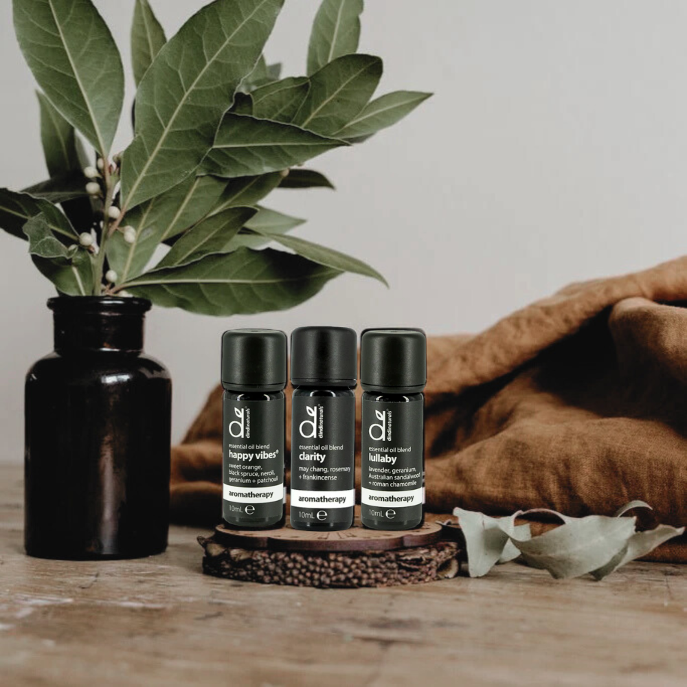 Three black bottles with labels on a wooden surface next to a vase with green leaves.