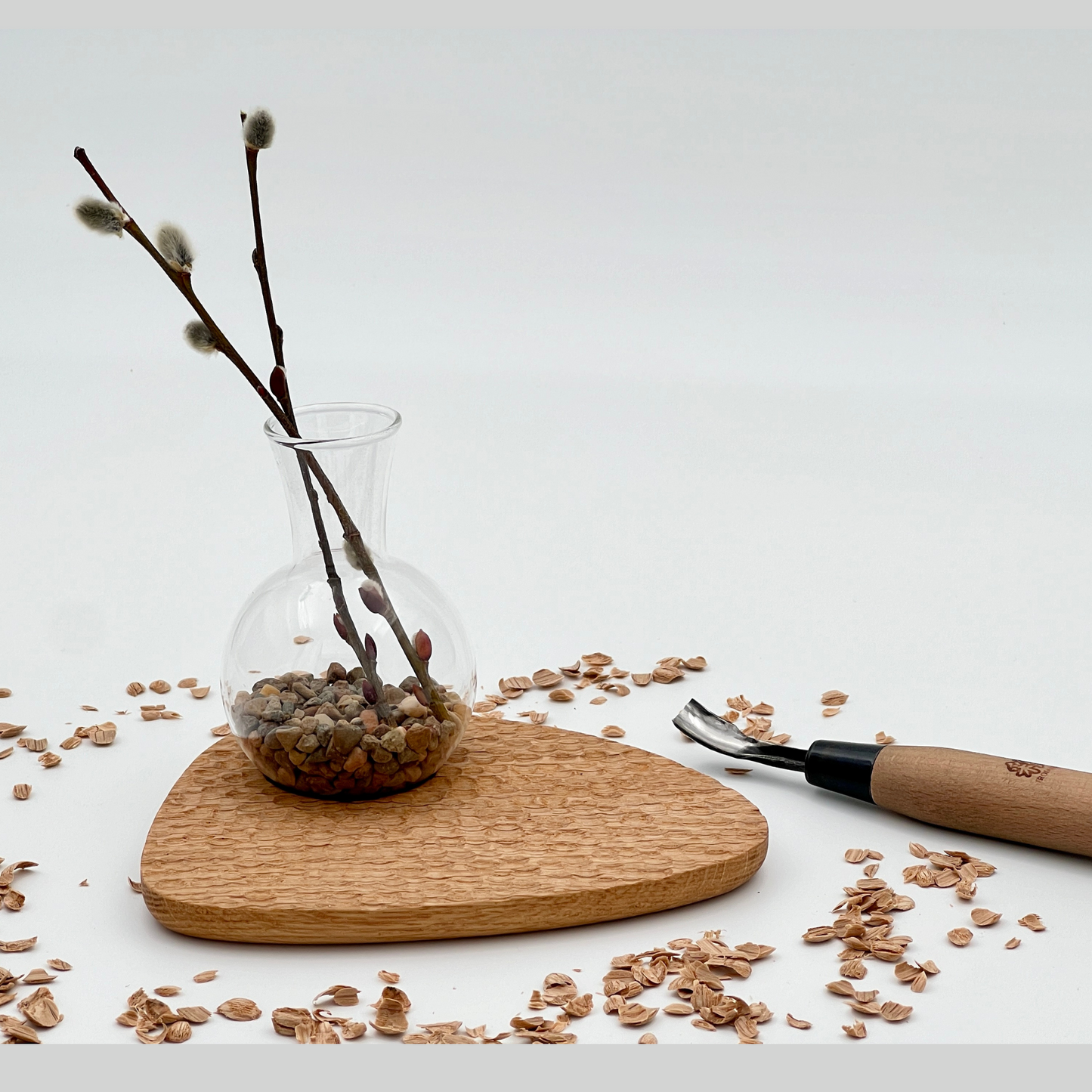 Pebble Plant Scalloped