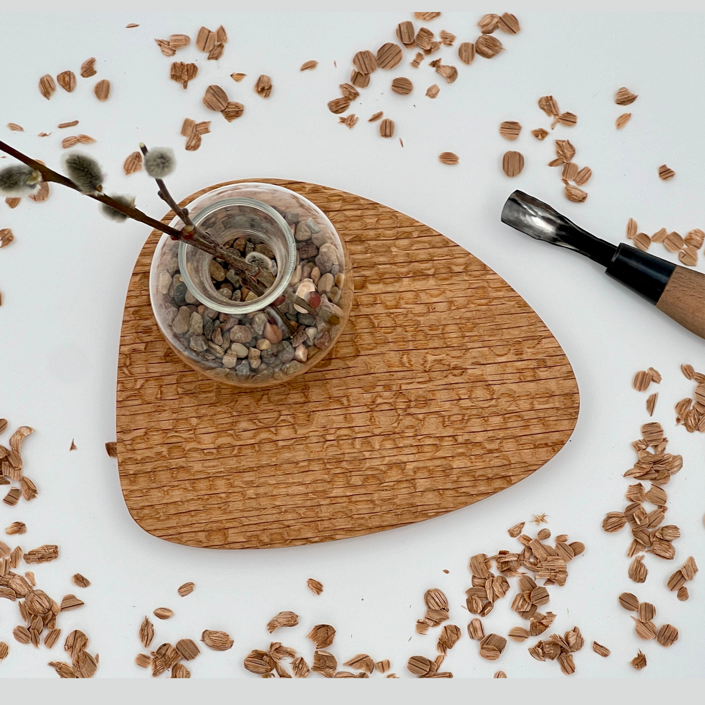 Pebble Plant Scalloped