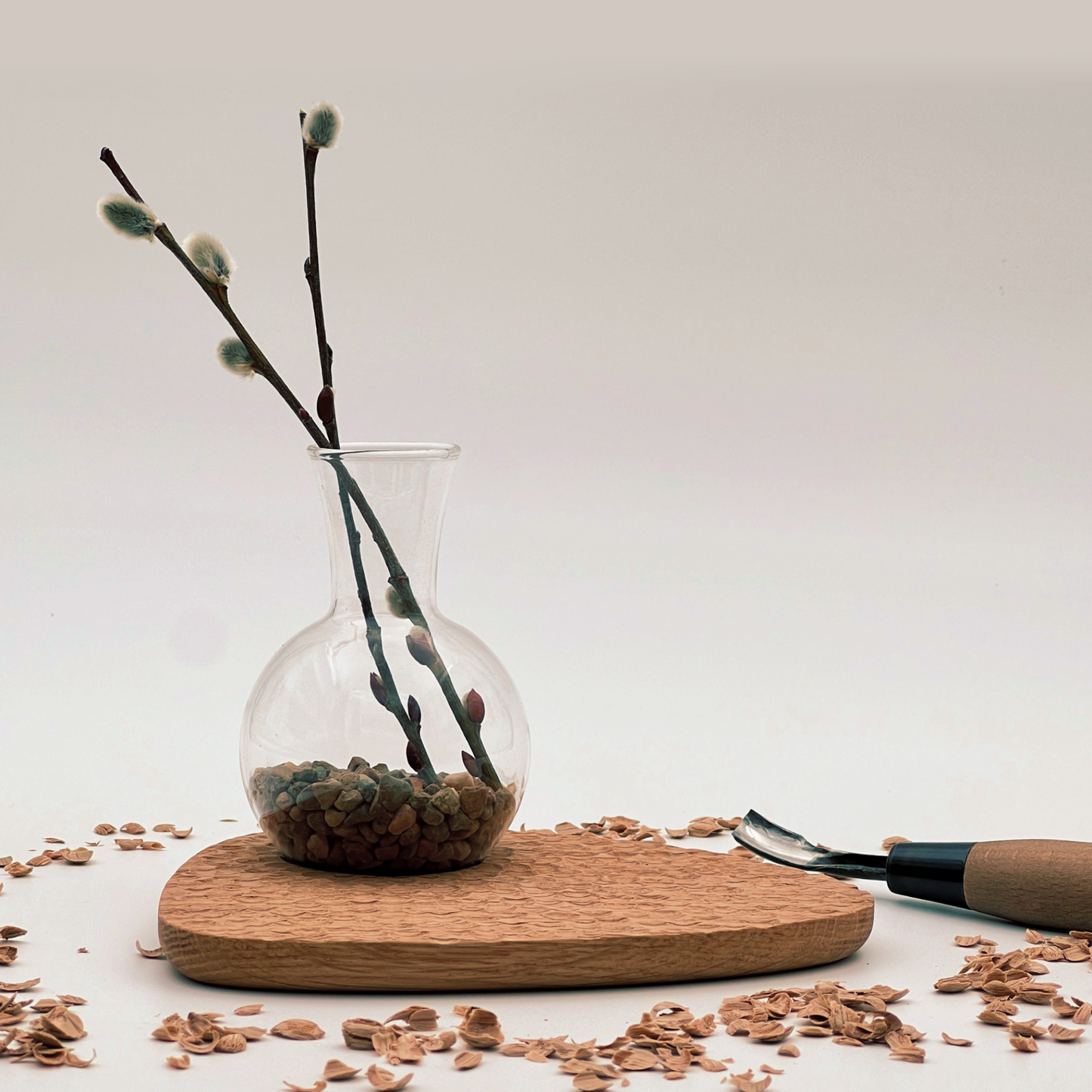 Pebble Plant Scalloped