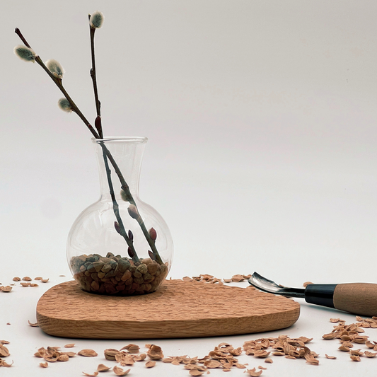 Pebble Plant Scalloped