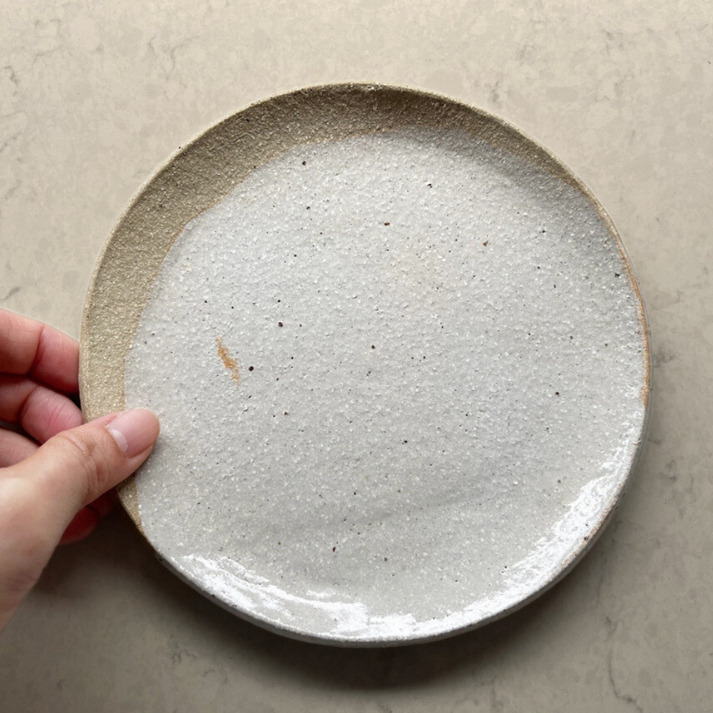 Hand holding a ceramic plate with a speckled glaze on a neutral background
