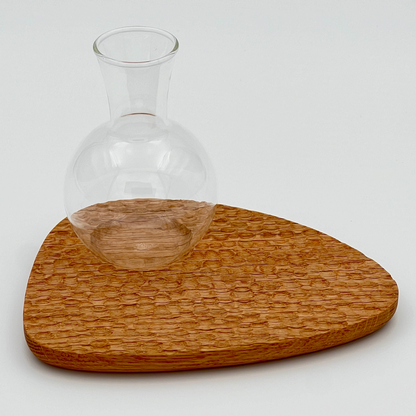 Pebble Plant Scalloped