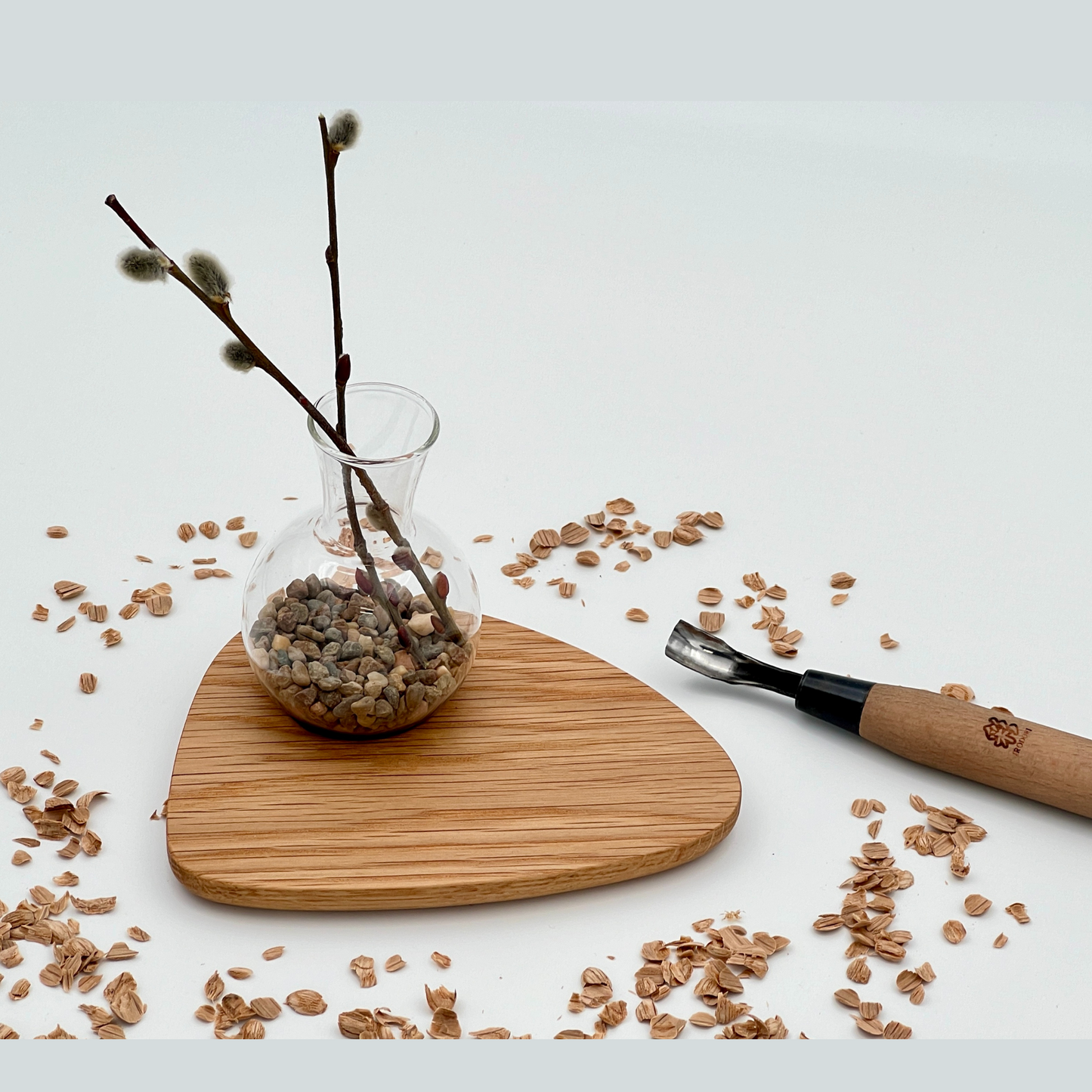 Pebble Plant