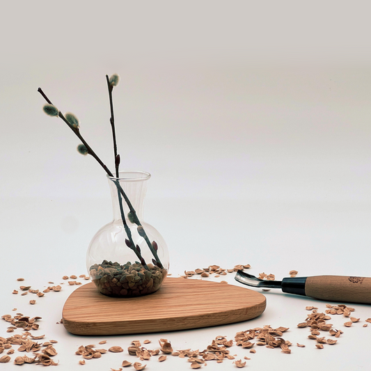 Pebble Plant